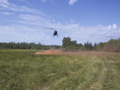 Chopper03.jpg