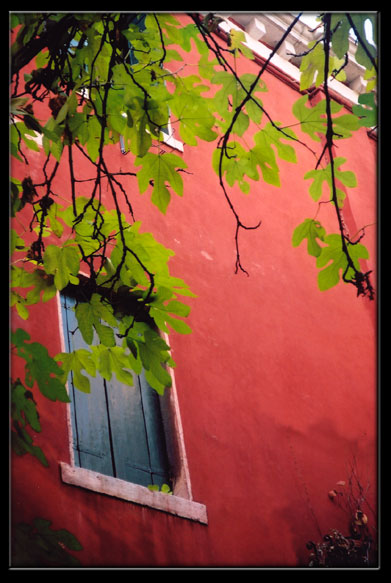 venetian window