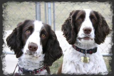 Katie and Gracie