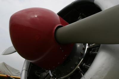 CRW_1114.jpg