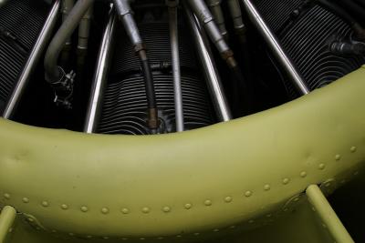 CRW_1116.jpg