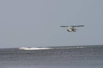 CRW_1042.jpg