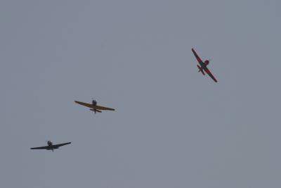 CRW_0864.jpg