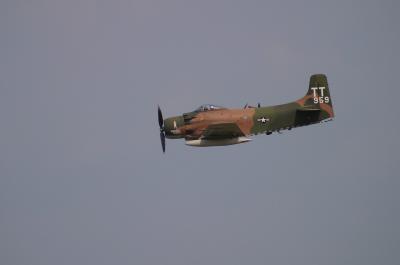 CRW_0870.jpg