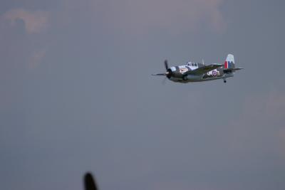 CRW_0896.jpg