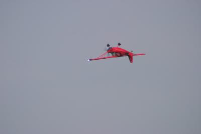 CRW_0913.jpg