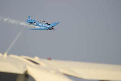 CRW_0946.jpg