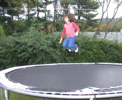 tramp.jpg