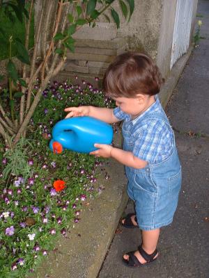 DSCF0003.JPG