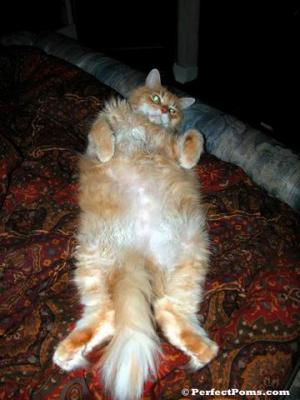 Oct8_013.jpg