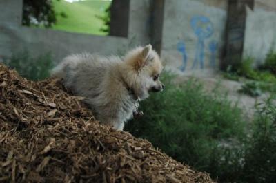 Aug5_04_047.jpg