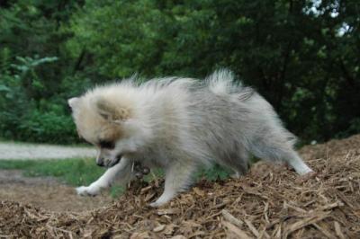 Aug5_04_056.jpg