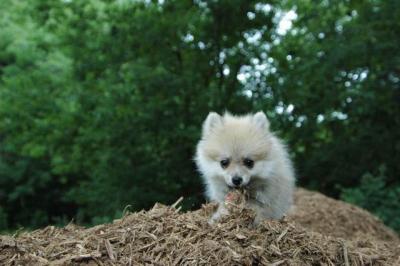 Aug5_04_064.jpg
