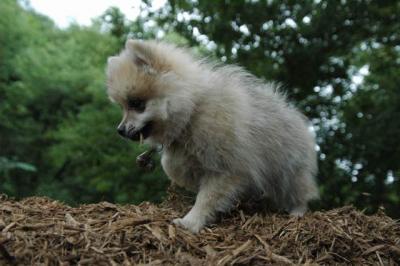 Aug5_04_066.jpg