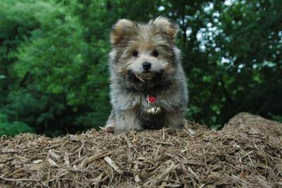 Aug5_04_075.jpg
