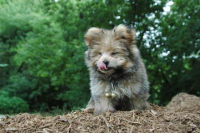 Aug5_04_076.jpg