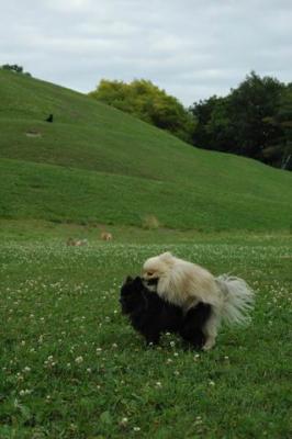 Aug5_04_099.jpg