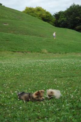 Aug5_04_1000.jpg