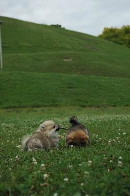 Aug5_04_1021.jpg