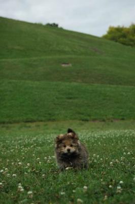 Aug5_04_1028.jpg