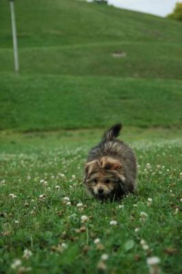 Aug5_04_1030.jpg