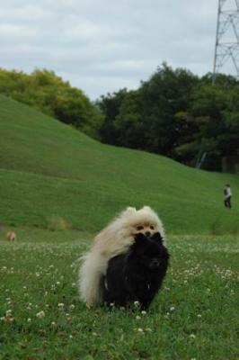 Aug5_04_105.jpg