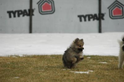 Feb6_05_066.JPG