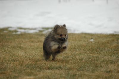 Feb6_05_067.JPG