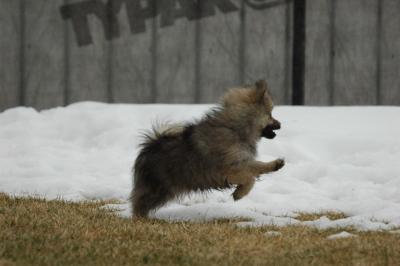 Feb6_05_068.JPG