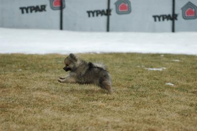 Feb6_05_075.JPG