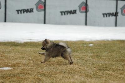 Feb6_05_076.JPG