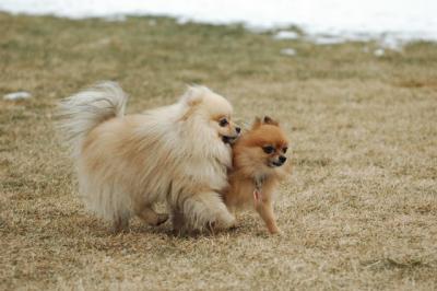 Feb6_05_077.JPG