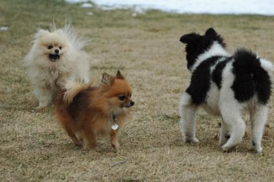 Feb6_05_079.jpg