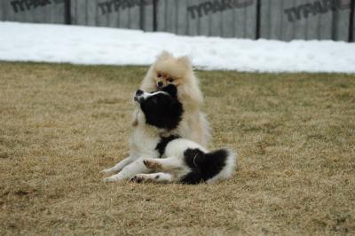 Feb6_05_083.JPG