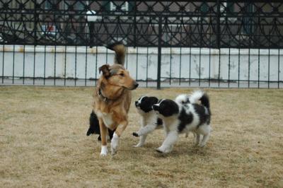 Feb6_05_090.JPG