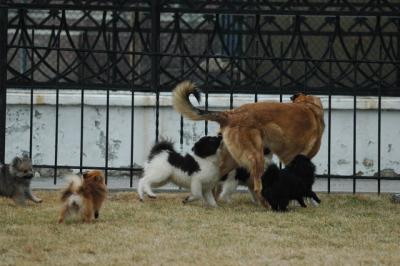 Feb6_05_094.JPG