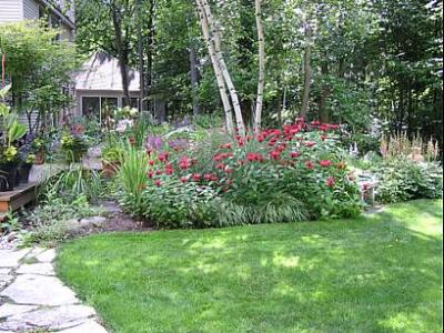 u36/blphotography/medium/23600712.summer20031.jpg