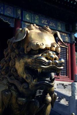 Detail of Lion