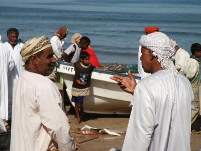 u36/bmcmorrow/medium/24618114.oman444.jpg