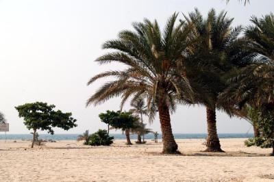 Beach in Sharjah