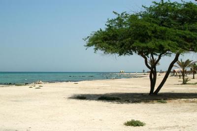 Al-Jazeer Beach, Bahrain