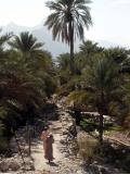 Path into the oasis, Nakhal