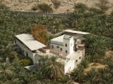 Villa surrounded by palms in the Dhayah Oasis