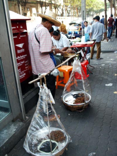 Vendor of fried bugs