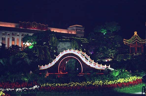 Floral display illuminated at night, Tiananmen Square