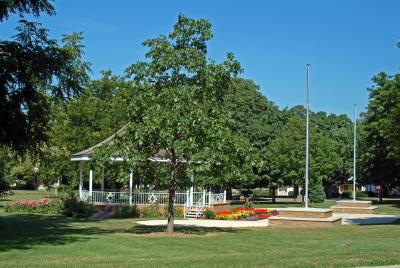 Carousel in Early August 3