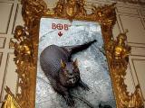20040807mrprogpres.jpg