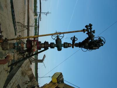DSCF0549.JPG