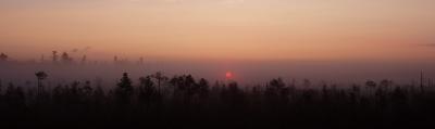 Foggy Sunset