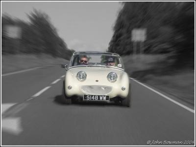 SPEEDING FROG web.jpg